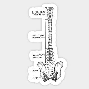 Spine Sticker